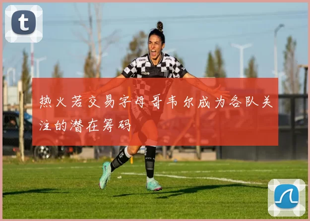 热火若交易字母哥韦尔成为各队关注的潜在筹码