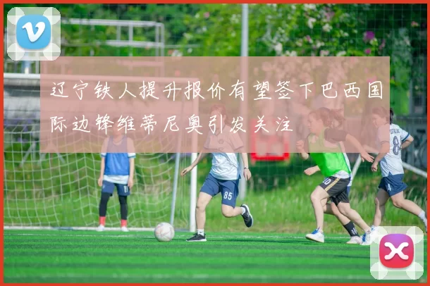 辽宁铁人提升报价有望签下巴西国际边锋维蒂尼奥引发关注